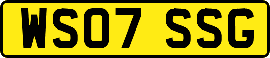 WS07SSG