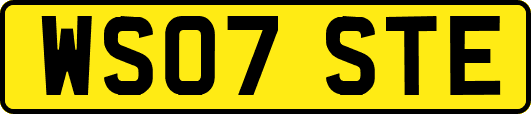 WS07STE