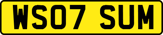 WS07SUM