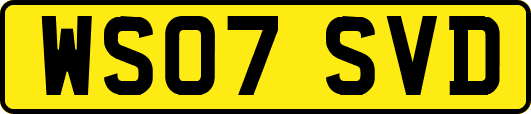 WS07SVD