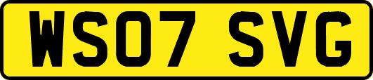 WS07SVG