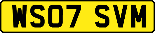 WS07SVM