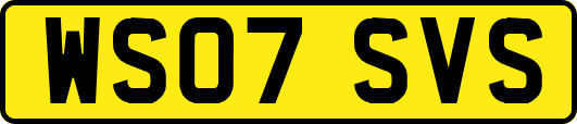 WS07SVS