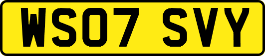 WS07SVY