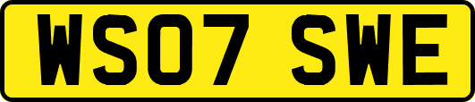 WS07SWE