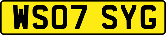 WS07SYG