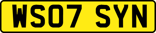 WS07SYN