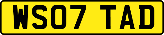 WS07TAD