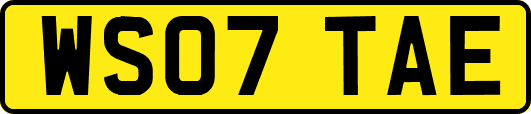 WS07TAE
