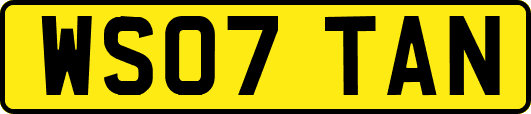 WS07TAN