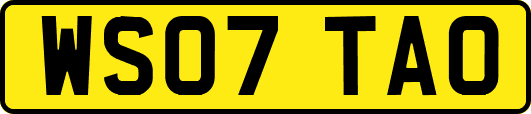 WS07TAO