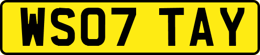 WS07TAY