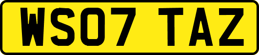 WS07TAZ