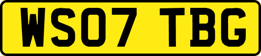 WS07TBG