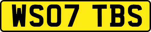 WS07TBS