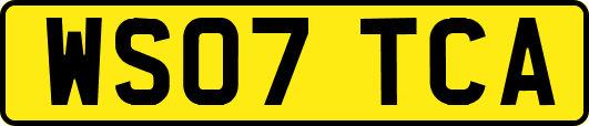 WS07TCA