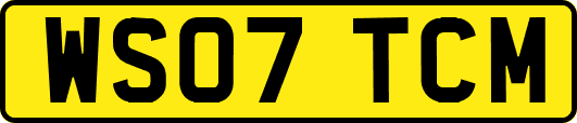 WS07TCM