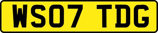WS07TDG