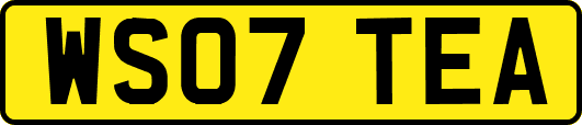 WS07TEA