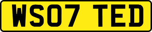 WS07TED