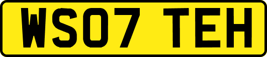 WS07TEH