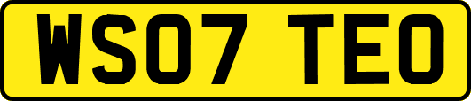 WS07TEO