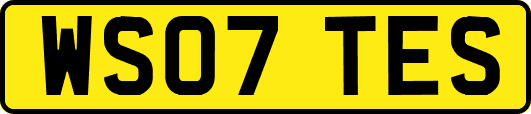 WS07TES