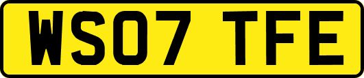 WS07TFE
