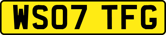 WS07TFG