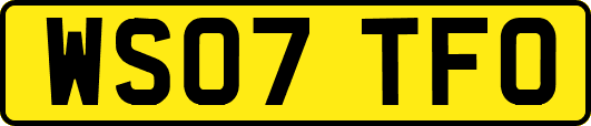 WS07TFO