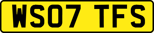 WS07TFS