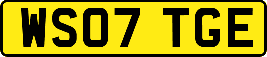 WS07TGE