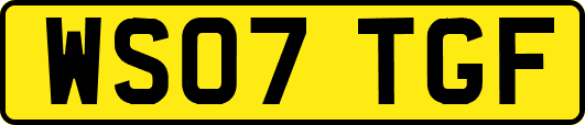WS07TGF