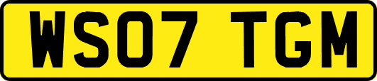 WS07TGM