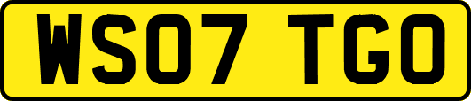 WS07TGO