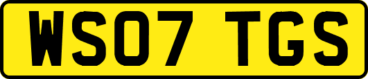 WS07TGS