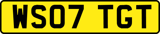 WS07TGT
