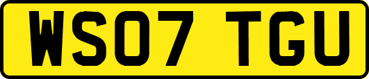 WS07TGU