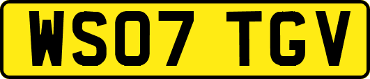 WS07TGV