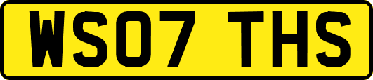 WS07THS