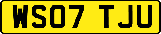 WS07TJU