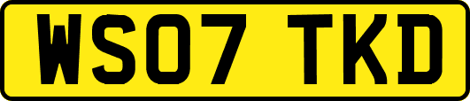 WS07TKD