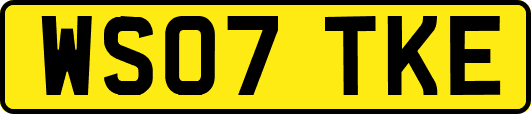 WS07TKE