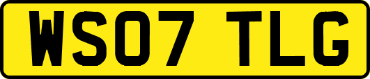 WS07TLG
