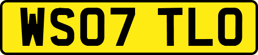 WS07TLO