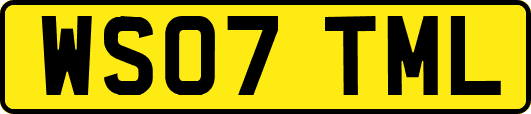 WS07TML