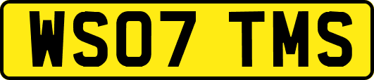 WS07TMS