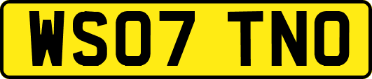 WS07TNO