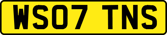 WS07TNS