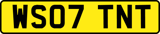 WS07TNT